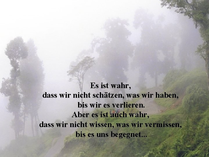 Es ist wahr, dass wir nicht schätzen, was wir haben, bis wir es verlieren.