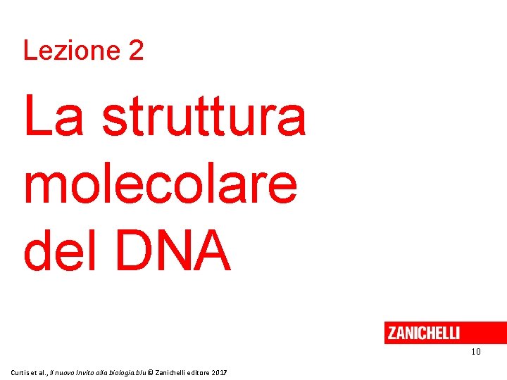 Lezione 2 La struttura molecolare del DNA 10 Curtis et al. , Il nuovo