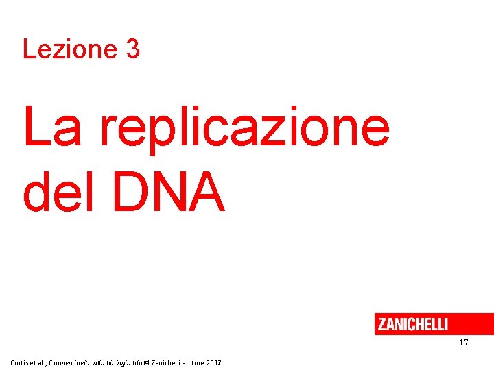 Lezione 3 La replicazione del DNA 17 Curtis et al. , Il nuovo Invito
