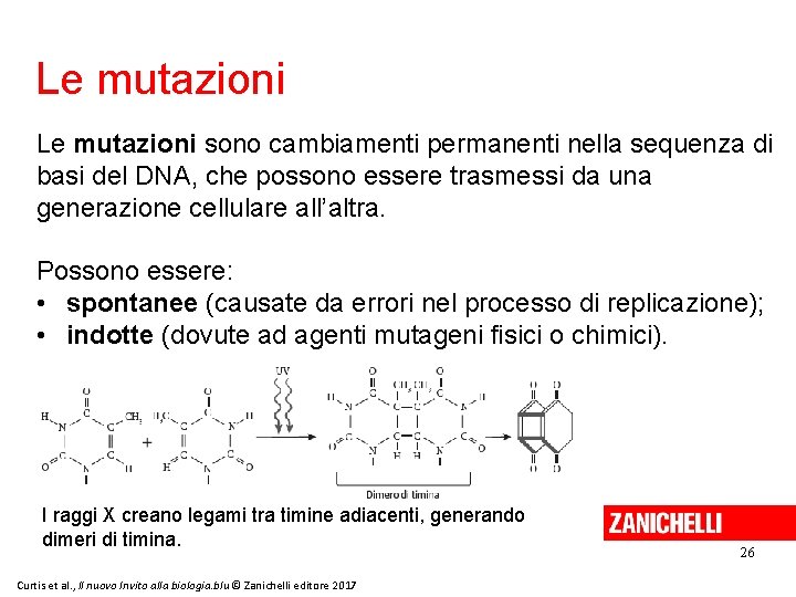 Le mutazioni sono cambiamenti permanenti nella sequenza di basi del DNA, che possono essere