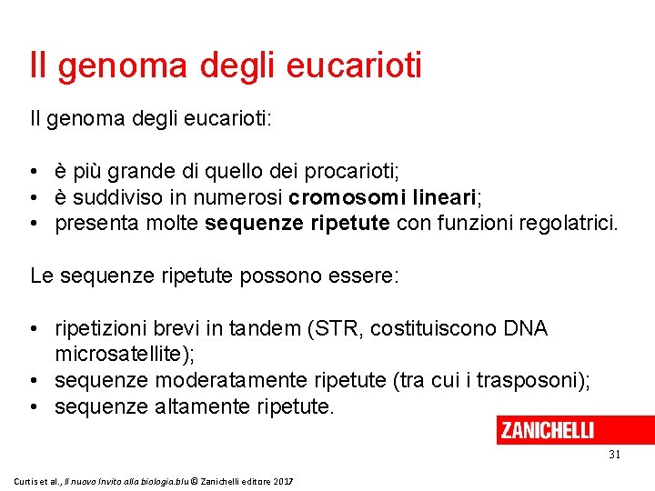 Il genoma degli eucarioti: • è più grande di quello dei procarioti; • è