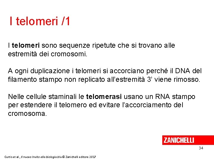 I telomeri /1 I telomeri sono sequenze ripetute che si trovano alle estremità dei