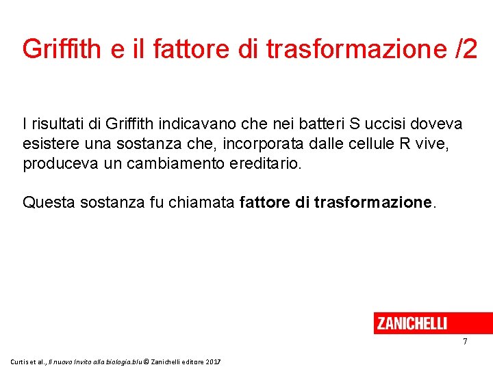 Griffith e il fattore di trasformazione /2 I risultati di Griffith indicavano che nei