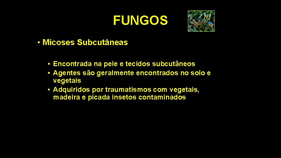 FUNGOS • Micoses Subcutâneas • Encontrada na pele e tecidos subcutâneos • Agentes são