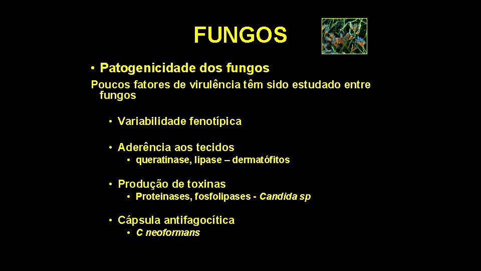 FUNGOS • Patogenicidade dos fungos Poucos fatores de virulência têm sido estudado entre fungos