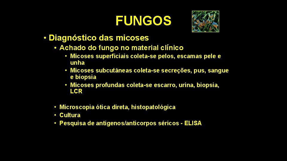 FUNGOS • Diagnóstico das micoses • Achado do fungo no material clínico • Micoses