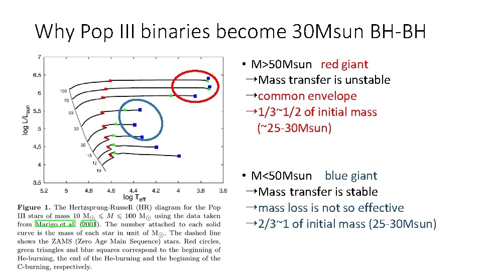 Why Pop III binaries become 30 Msun BH-BH • M>50 Msun　red giant ➝Mass transfer