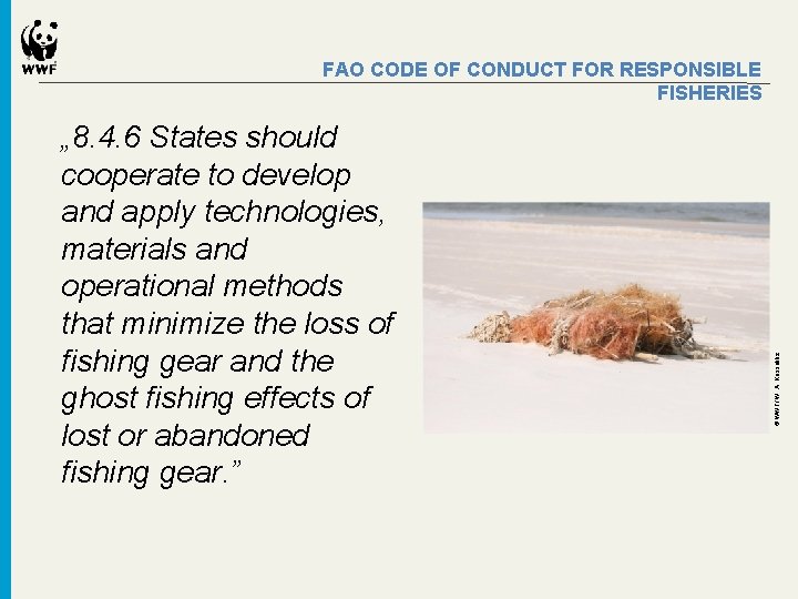 „ 8. 4. 6 States should cooperate to develop and apply technologies, materials and