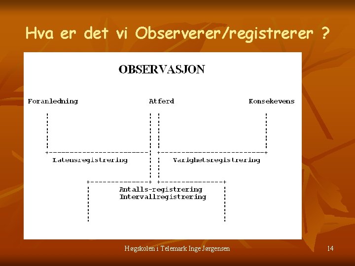 Hva er det vi Observerer/registrerer ? Høgskolen i Telemark Inge Jørgensen 14 