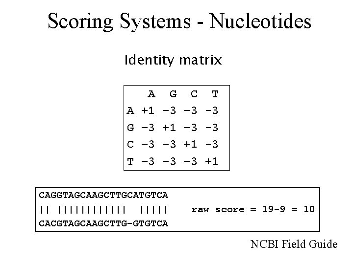 Scoring Systems - Nucleotides Identity matrix A G C T A +1 – 3