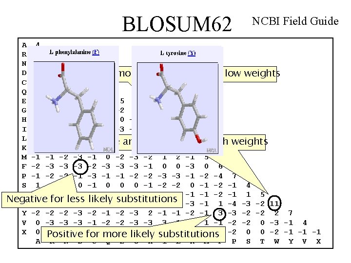 BLOSUM 62 NCBI Field Guide A 4 R -1 5 N -2 0 6