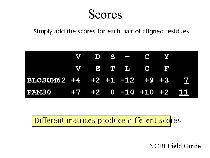 Scores Simply add the scores for each pair of aligned residues V V BLOSUM