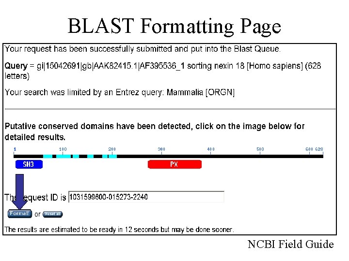 BLAST Formatting Page NCBI Field Guide 