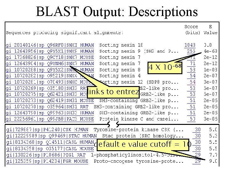 BLAST Output: Descriptions 4 X 10 -68 links to entrez default e value cutoff