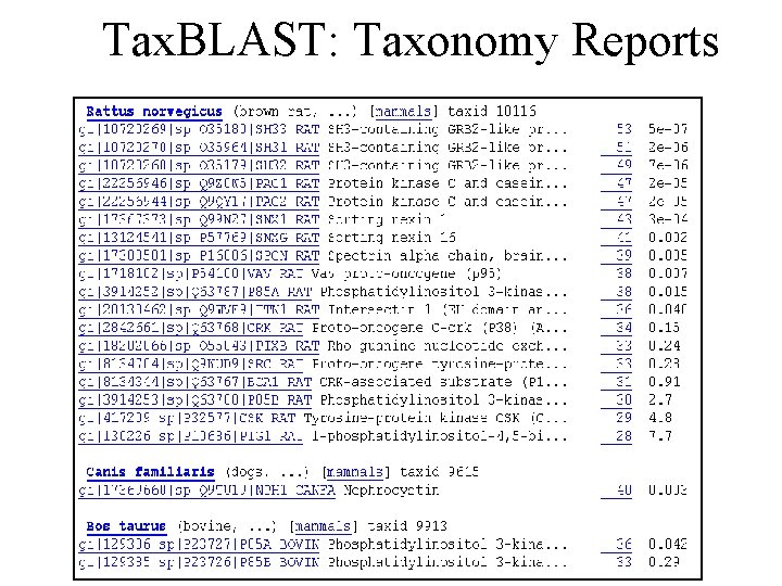 Tax. BLAST: Taxonomy Reports 