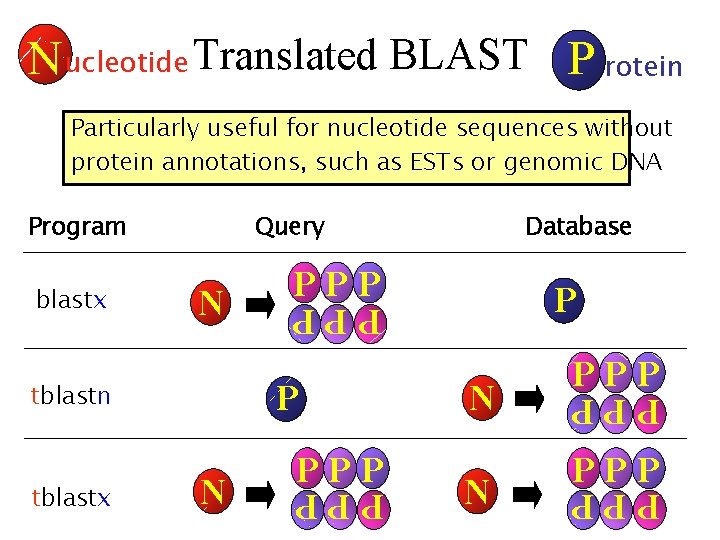 N ucleotide Translated BLAST P rotein Particularly useful for nucleotide sequences without protein annotations,