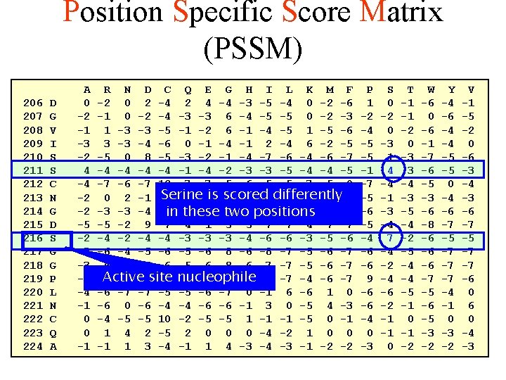 Position Specific Score Matrix (PSSM) 206 207 208 209 210 211 212 213 214