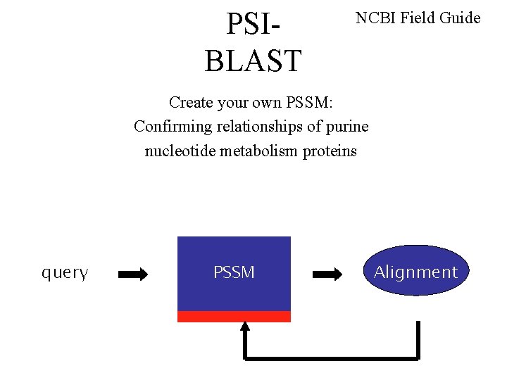 PSIBLAST NCBI Field Guide Create your own PSSM: Confirming relationships of purine nucleotide metabolism