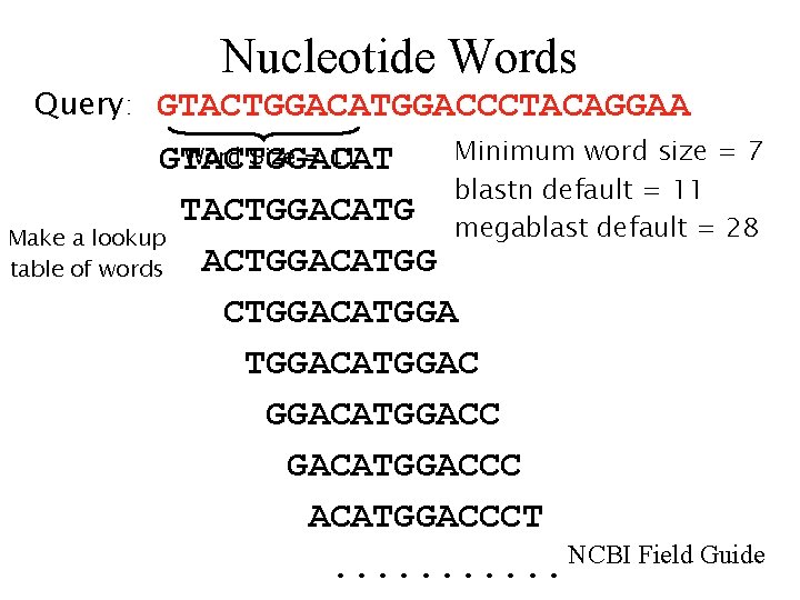 Nucleotide Words Query: GTACTGGACATGGACCCTACAGGAA Minimum word size = 7 Word Size = 11 GTACTGGACAT