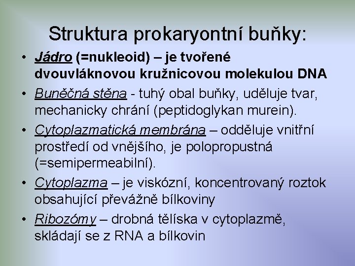 Struktura prokaryontní buňky: • Jádro (=nukleoid) – je tvořené dvouvláknovou kružnicovou molekulou DNA •