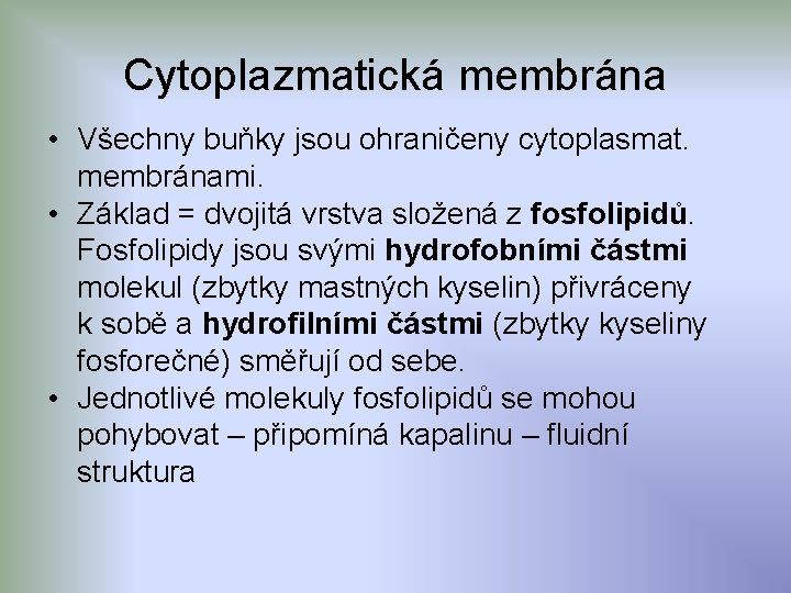 Cytoplazmatická membrána • Všechny buňky jsou ohraničeny cytoplasmat. membránami. • Základ = dvojitá vrstva