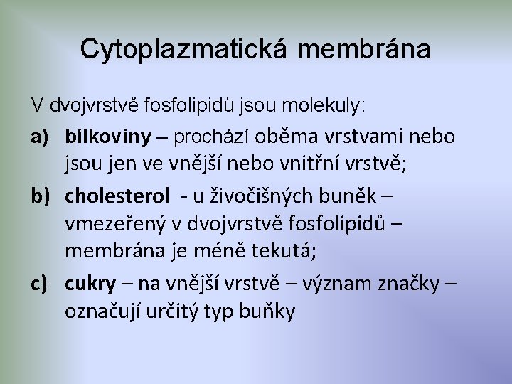 Cytoplazmatická membrána V dvojvrstvě fosfolipidů jsou molekuly: a) bílkoviny – prochází oběma vrstvami nebo