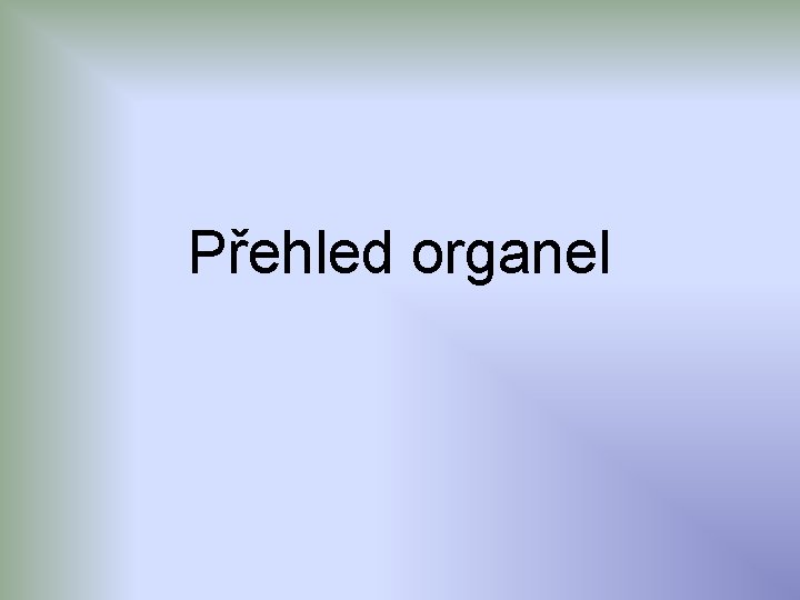 Přehled organel 