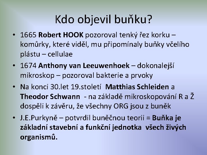 Kdo objevil buňku? • 1665 Robert HOOK pozoroval tenký řez korku – komůrky, které