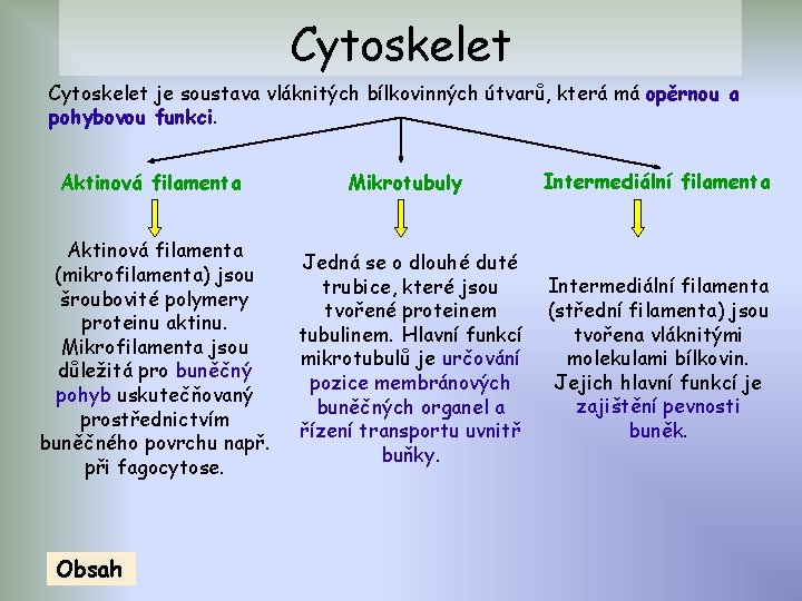 Cytoskelet je soustava vláknitých bílkovinných útvarů, která má opěrnou a pohybovou funkci. Aktinová filamenta