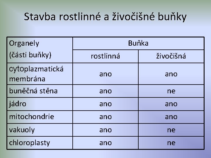 Stavba rostlinné a živočišné buňky Organely (části buňky) Buňka rostlinná živočišná ano ano ne