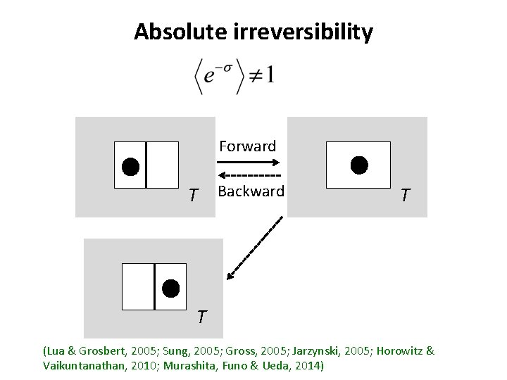 Absolute irreversibility Forward T Backward T T (Lua & Grosbert, 2005; Sung, 2005; Gross,