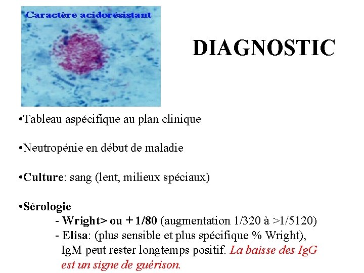 DIAGNOSTIC • Tableau aspécifique au plan clinique • Neutropénie en début de maladie •