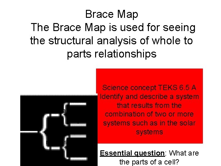 Brace Map The Brace Map is used for seeing the structural analysis of whole