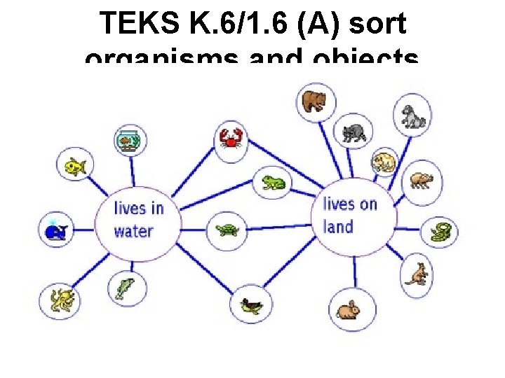 TEKS K. 6/1. 6 (A) sort organisms and objects according to their parts and