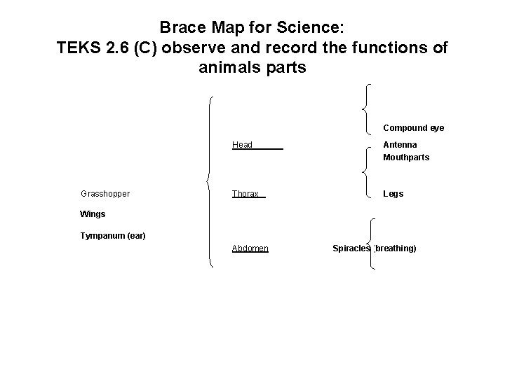 Brace Map for Science: TEKS 2. 6 (C) observe and record the functions of