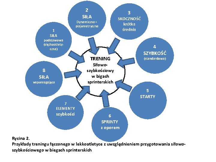 2 SIŁA 1 SIŁA 3 SKOCZNOŚĆ krótka średnia Dynamiczna + plajometryczna podstawowa (ciężkoatletyczna) TRENING