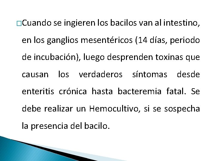 �Cuando se ingieren los bacilos van al intestino, en los ganglios mesentéricos (14 días,