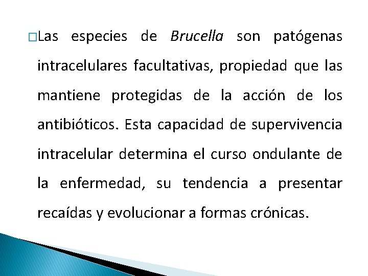 �Las especies de Brucella son patógenas intracelulares facultativas, propiedad que las mantiene protegidas de