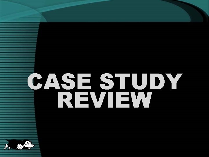 CASE STUDY REVIEW 