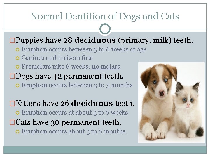 Normal Dentition of Dogs and Cats �Puppies have 28 deciduous (primary, milk) teeth. Eruption