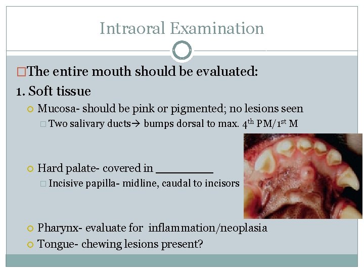 Intraoral Examination �The entire mouth should be evaluated: 1. Soft tissue Mucosa- should be