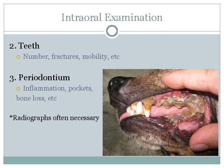 Intraoral Examination 2. Teeth Number, fractures, mobility, etc 3. Periodontium Inflammation, pockets, bone loss,