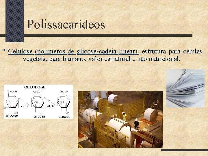 Polissacarídeos * Celulose (polímeros de glicose-cadeia linear): estrutura para células vegetais, para humano, valor