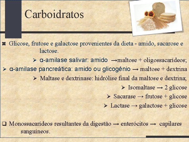 Carboidratos Glicose, frutose e galactose provenientes da dieta - amido, sacarose e lactose. Ø