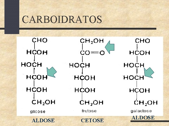 CARBOIDRATOS ALDOSE CETOSE ALDOSE 