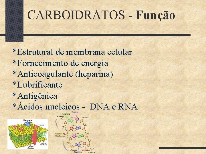 CARBOIDRATOS - Função *Estrutural de membrana celular *Fornecimento de energia *Anticoagulante (heparina) *Lubrificante *Antigênica