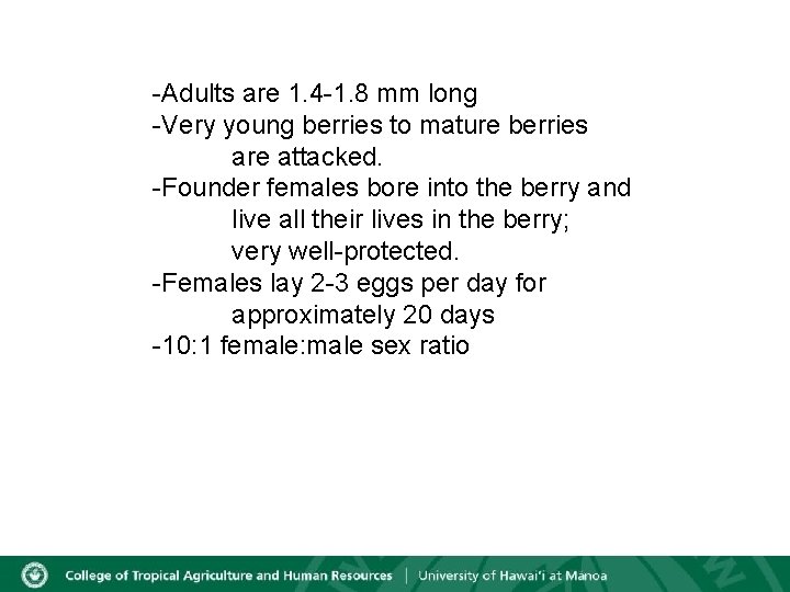 -Adults are 1. 4 -1. 8 mm long -Very young berries to mature berries