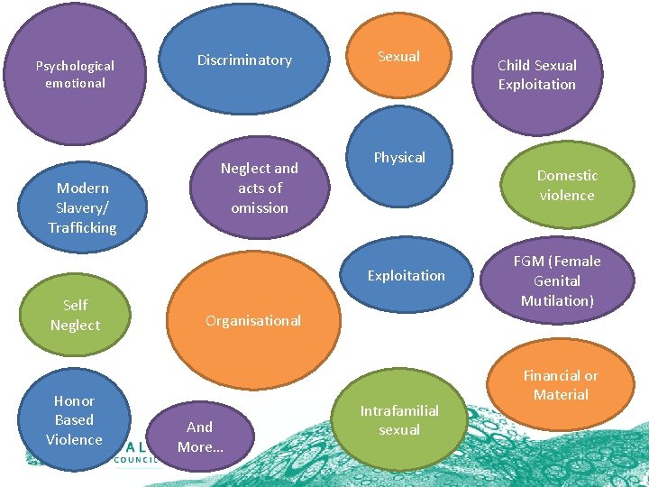 Psychological emotional Modern Slavery/ Trafficking Discriminatory Neglect and acts of omission Sexual Physical Exploitation