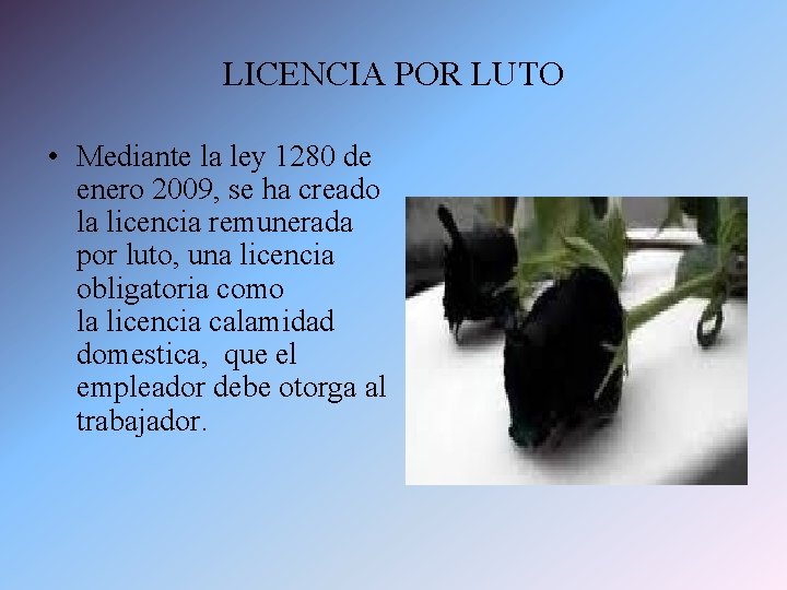 LICENCIA POR LUTO • Mediante la ley 1280 de enero 2009, se ha creado