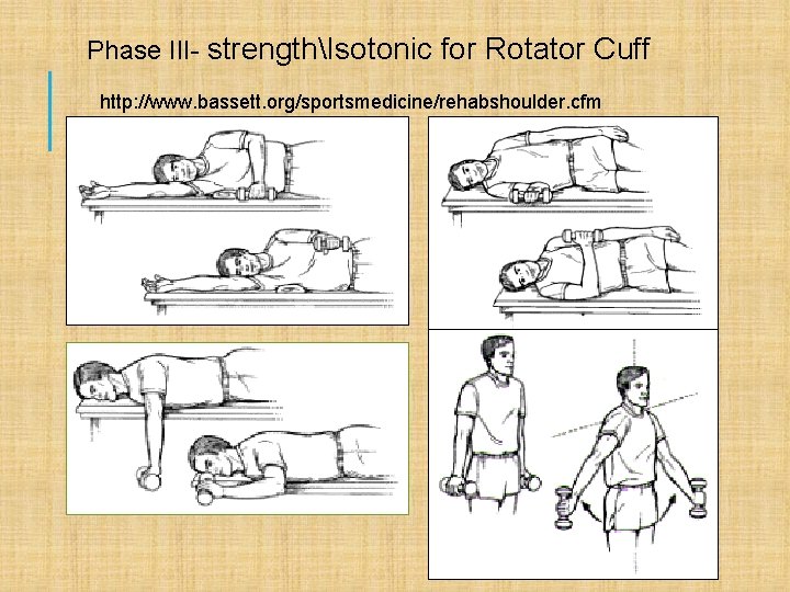 Phase III- strengthIsotonic for Rotator Cuff http: //www. bassett. org/sportsmedicine/rehabshoulder. cfm 